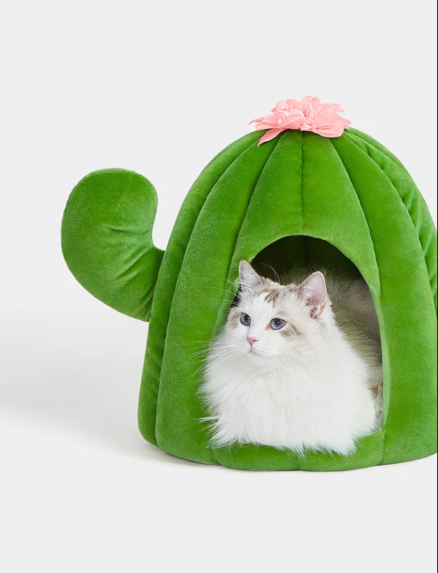 Cactus Pet Bed – Plush Polyester Cave, 16.1×16.1×16.9 in (Green/Pink)