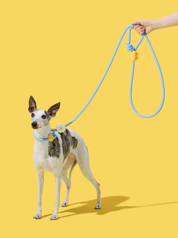 Hands-Free Rope Dog Leash – 3-Mode Adjustable, 4.4–8.2 ft, 0.5 in