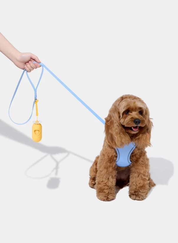 Pet Harness & Leash Set – Daisy Print, Mesh, Reflective, XXS–L