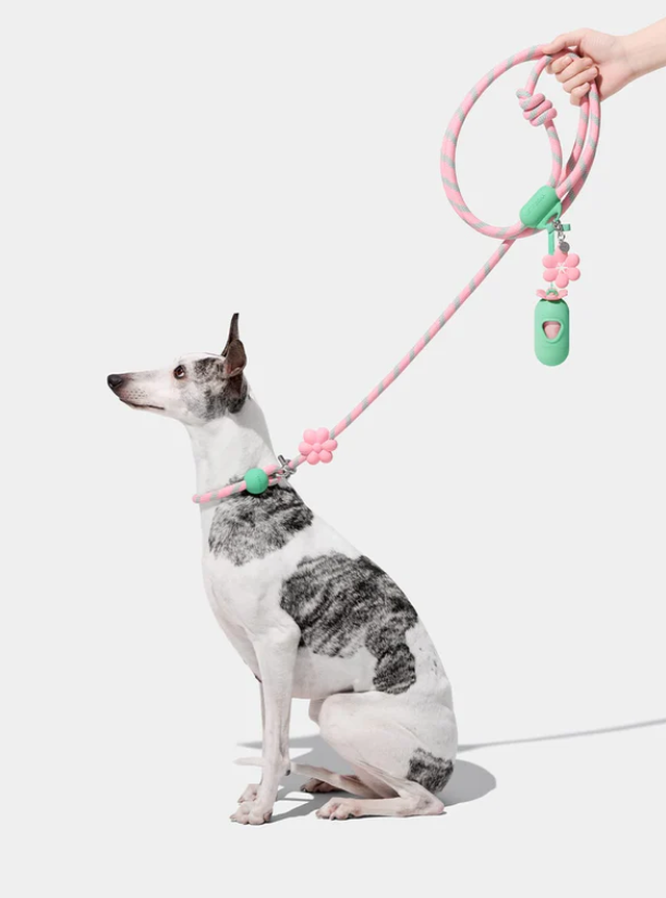 Hands-Free Rope Dog Leash – Flora Theme, 3-Mode, 4.4–8.2 ft, 0.5 in