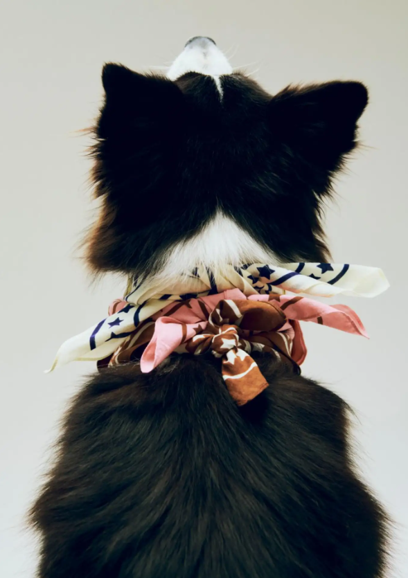 Pink Dog Bandana – 50% Recycled Cotton, 55×55 cm Tie-On