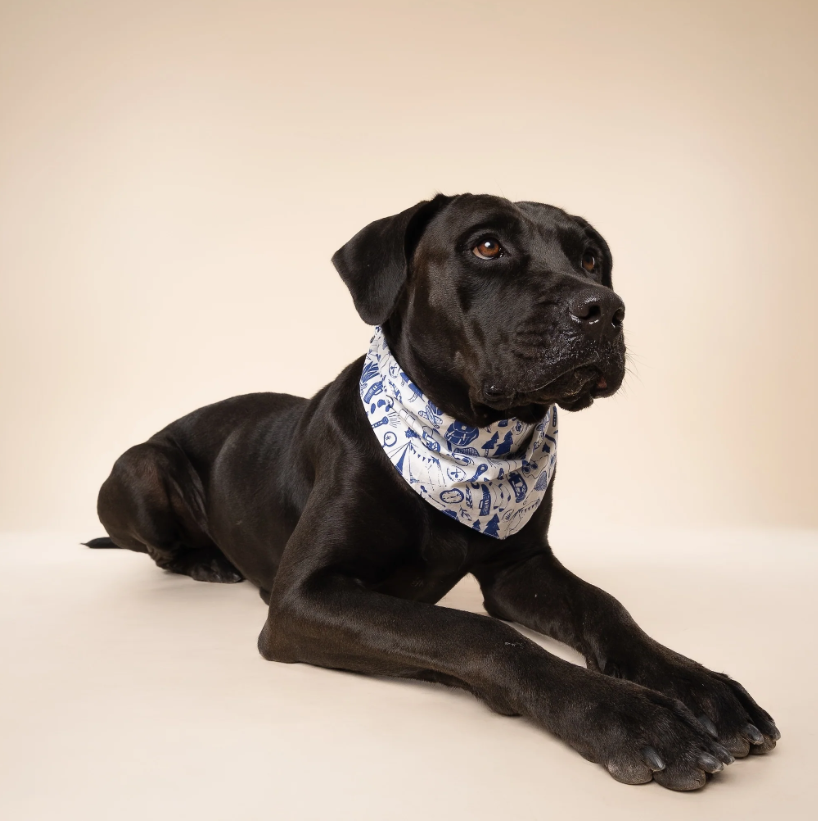 Dog Bandana – Wander Outdoors Print, 100% Cotton, Tie-On, Double-Sided