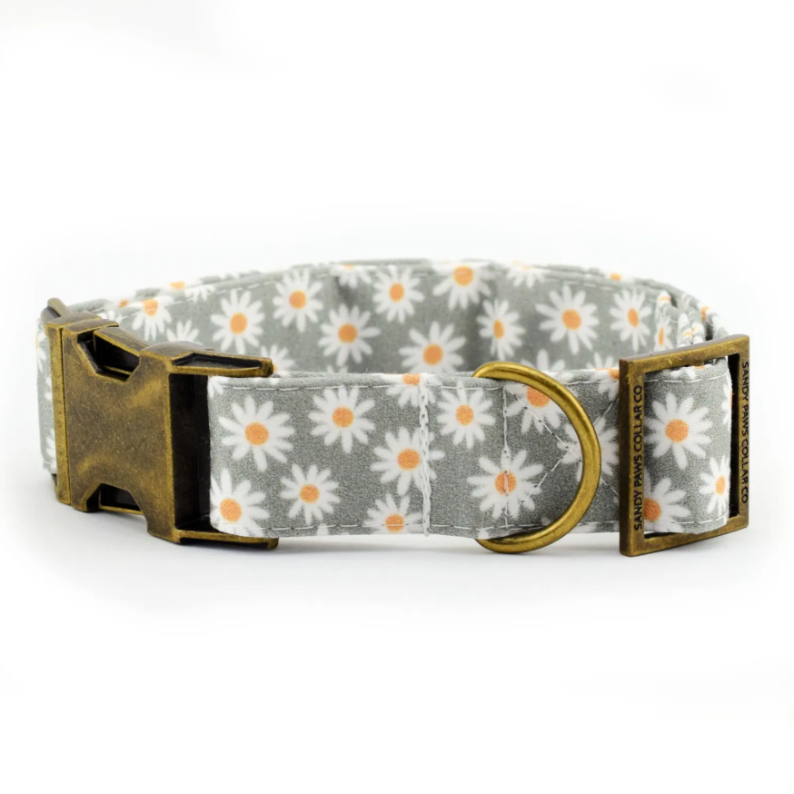 Adjustable Fabric Dog Collar – 4-Layer Sewn, Custom Hardware, XS–XL