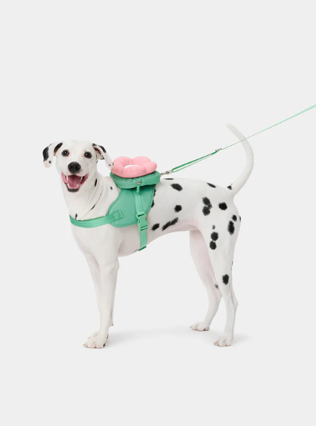 Flora Pet Backpack, Harness & Leash Set – 3-in-1, Adjustable, XS–L