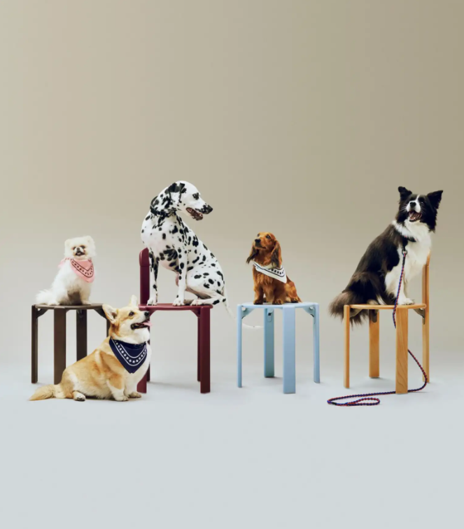 Pink Dog Bandana – 50% Recycled Cotton, 55×55 cm Tie-On