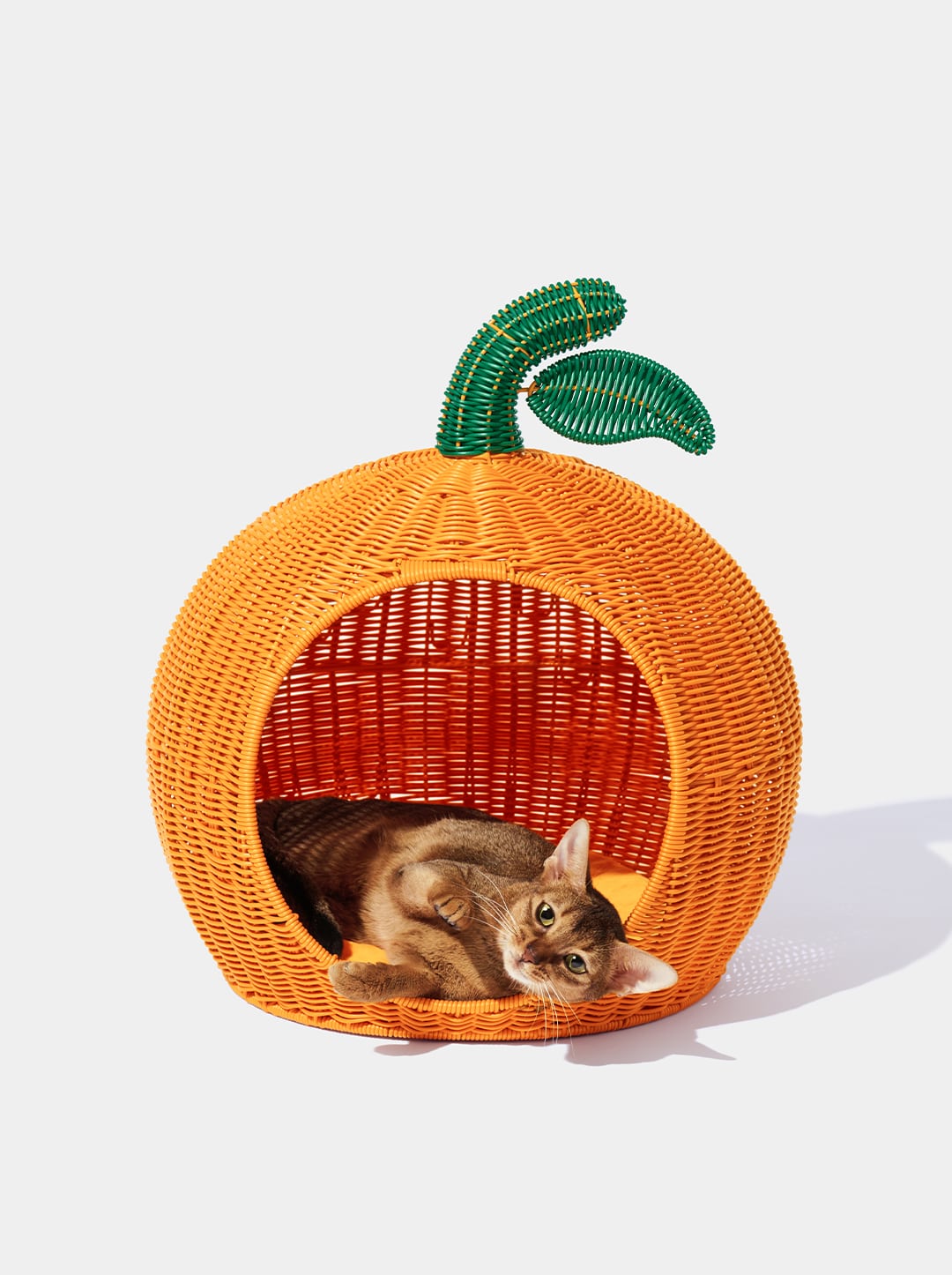 Rattan Cat and Small Dog Bed