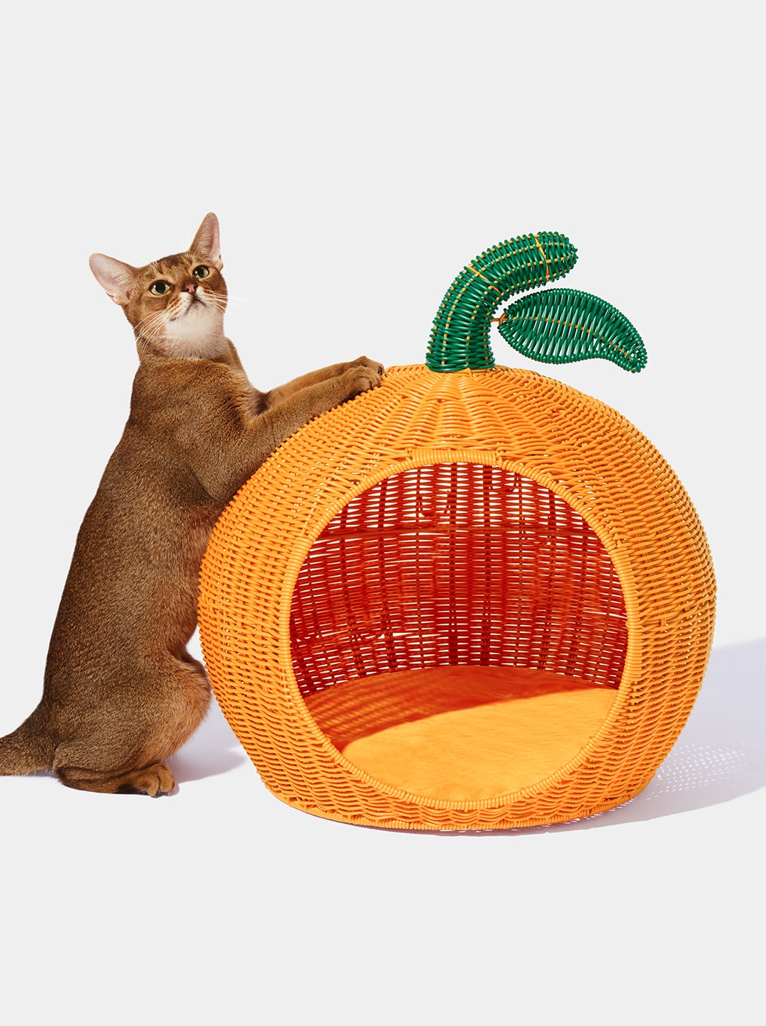 Rattan Cat and Small Dog Bed