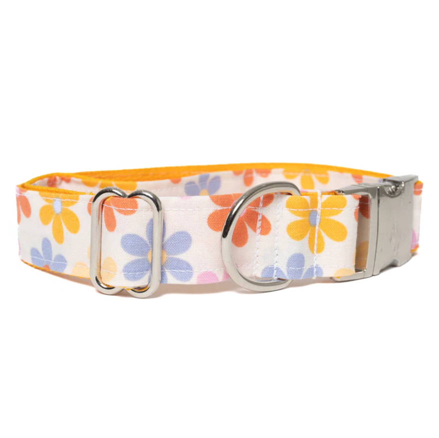 Dog Collar – Retro Daisy Print, Cotton/Nylon Webbing, 1 in, S–L