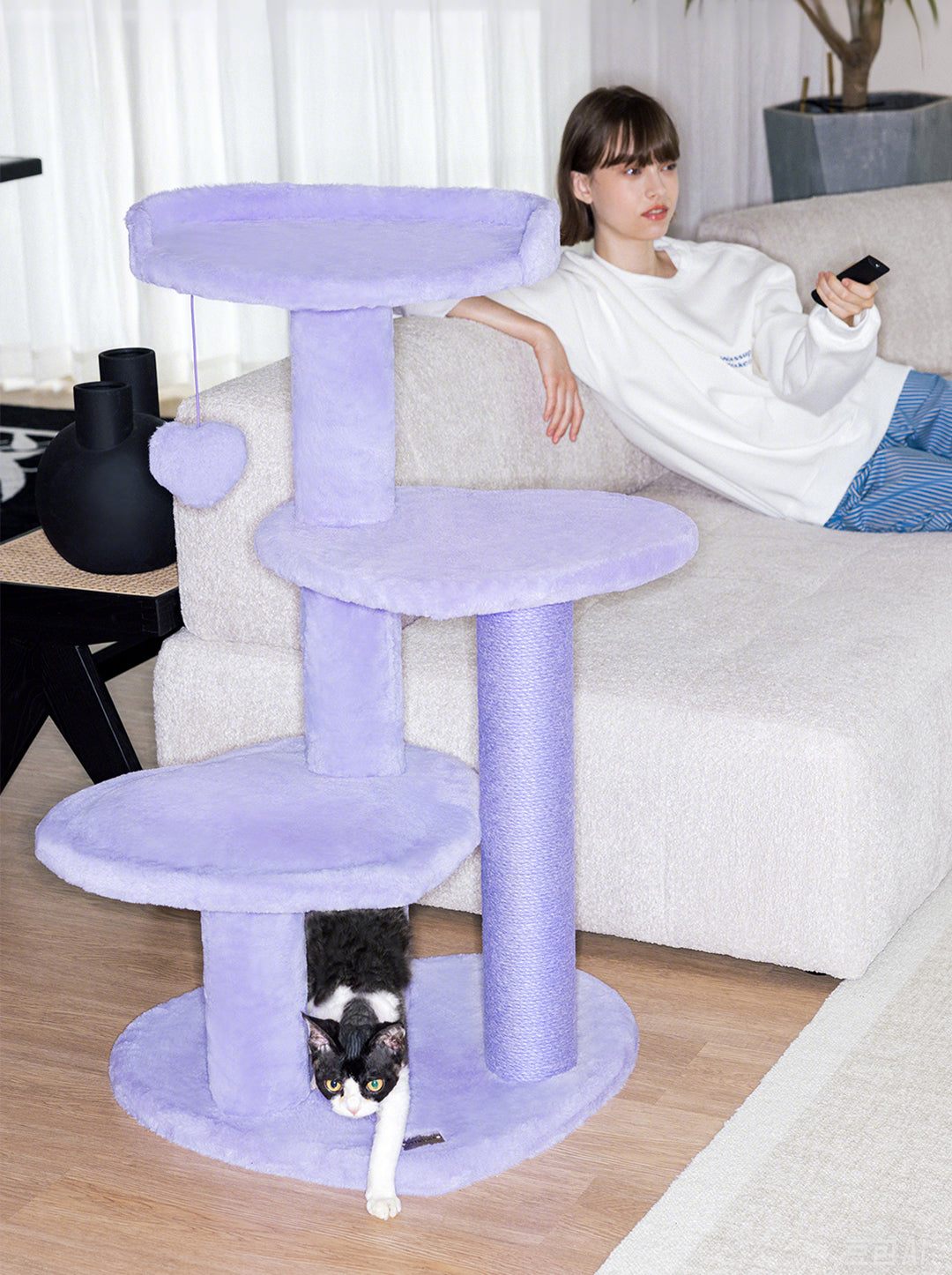 Cat Accessories