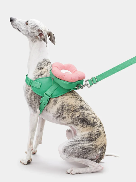 Flora Pet Backpack, Harness & Leash Set – 3-in-1, Adjustable, XS–L