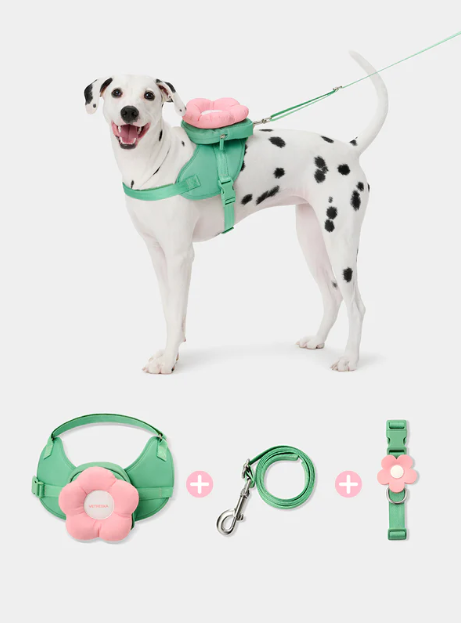 Flora Pet Backpack, Harness & Leash Set – 3-in-1, Adjustable, XS–L