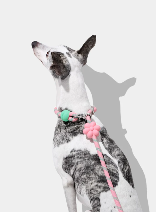 Hands-Free Rope Dog Leash – Flora Theme, 3-Mode, 4.4–8.2 ft, 0.5 in