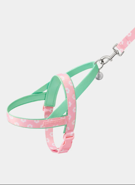 Pet Harness & Leash Set – Flora Print, Lightweight, XS–M
