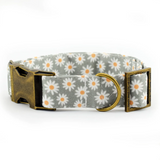 Adjustable Fabric Dog Collar – 4-Layer Sewn, Custom Hardware, XS–XL